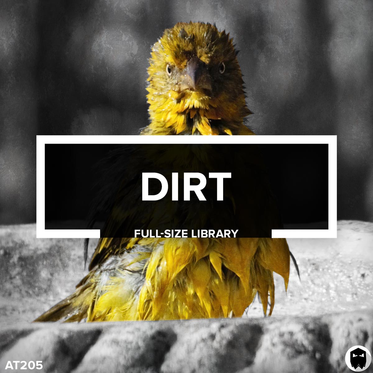 Audiotent-Dirt-AT205-FB