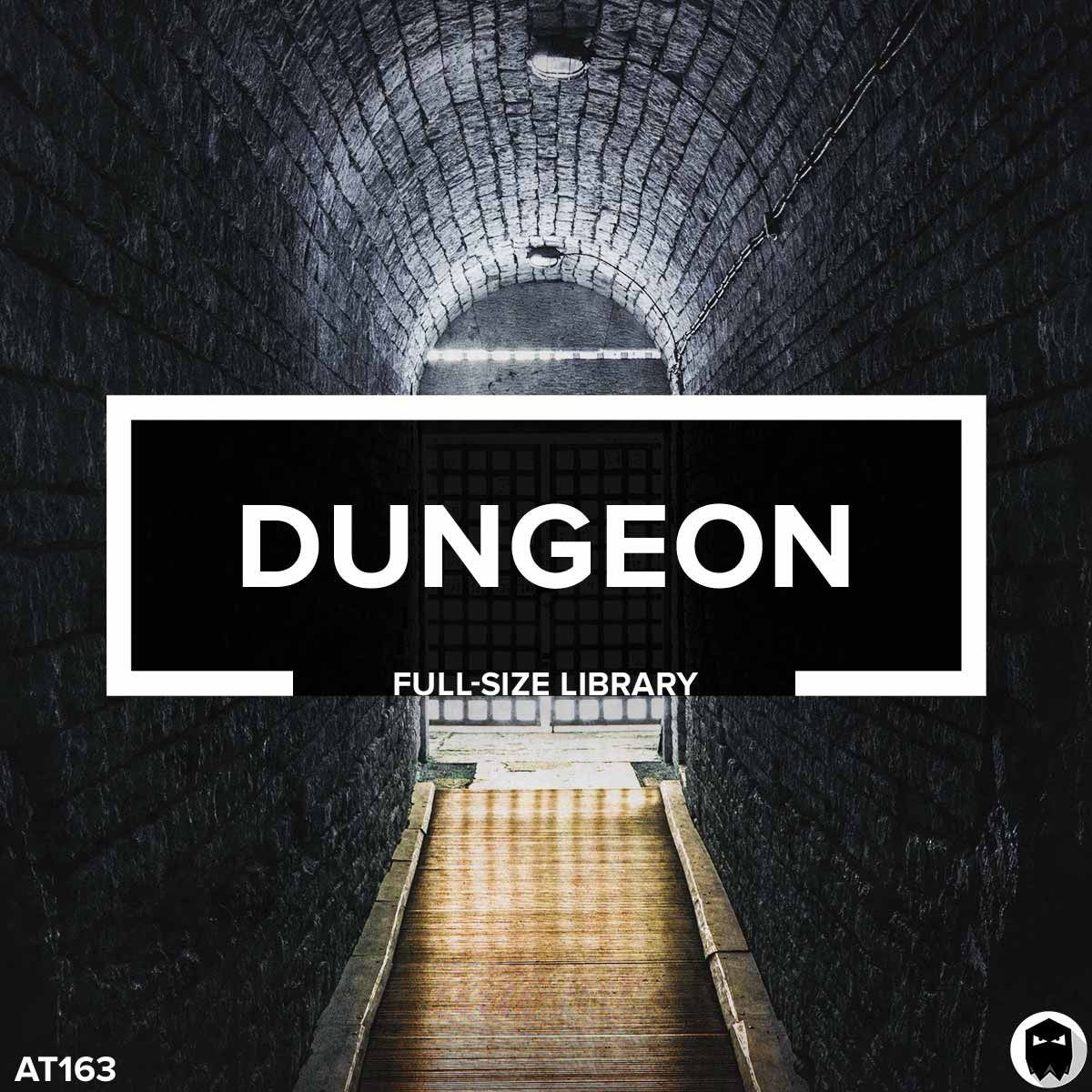 Dungeon // Full-Size Library