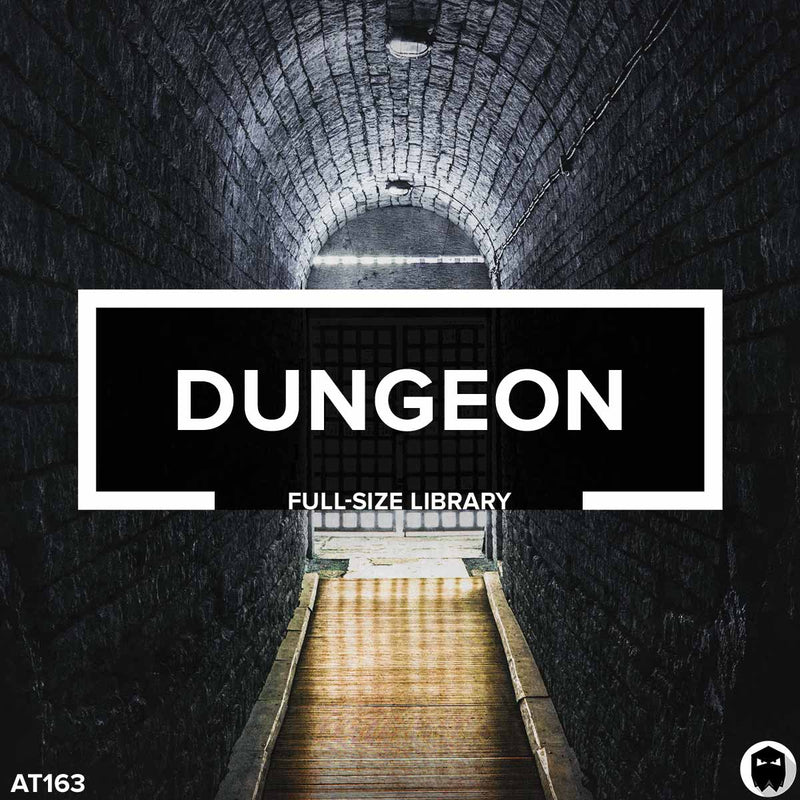 Dongen Library Dungeon // Full-Size Library